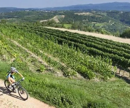 Daniel 7 Sea View Parking Wifi Апартаменты Медулин