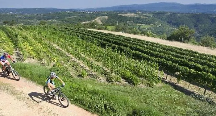 Daniel 7 Sea View Parking Wifi Apartmán Medulin